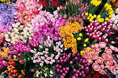 多家游戏公司捐款帮助救援工作 CDP捐了100万波兰币