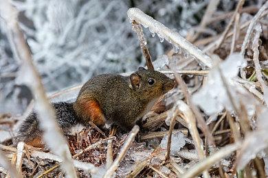 《生死轮回》19分钟实机演示公布 今年上半年发售